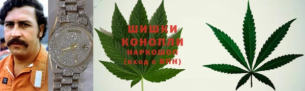 крисы Алзамай