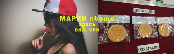крисы Алзамай