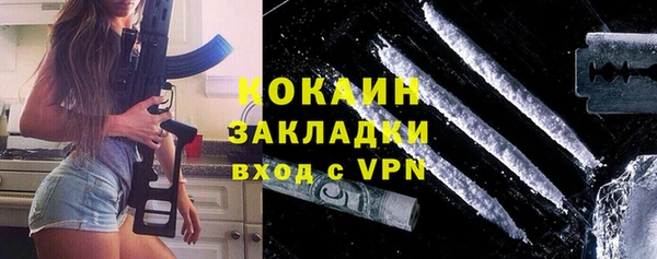 крисы Алзамай