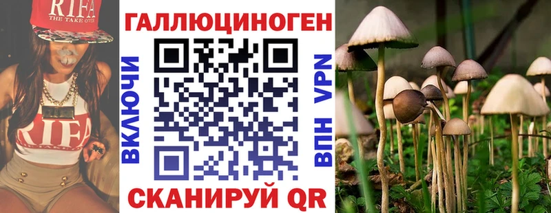 Псилоцибиновые грибы прущие грибы  Топки 